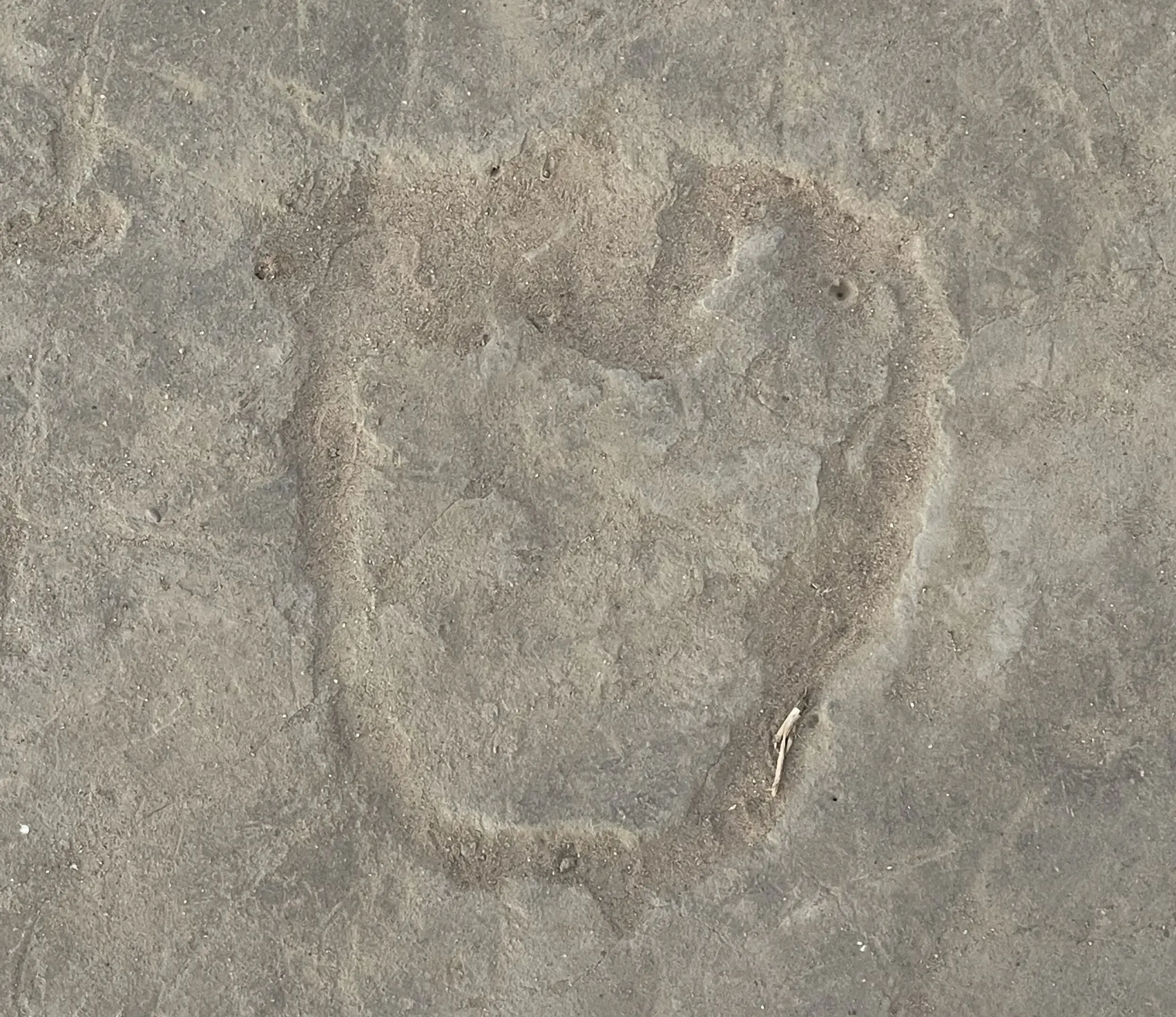 Ancient petroglyph resembling a footprint carved in stone.