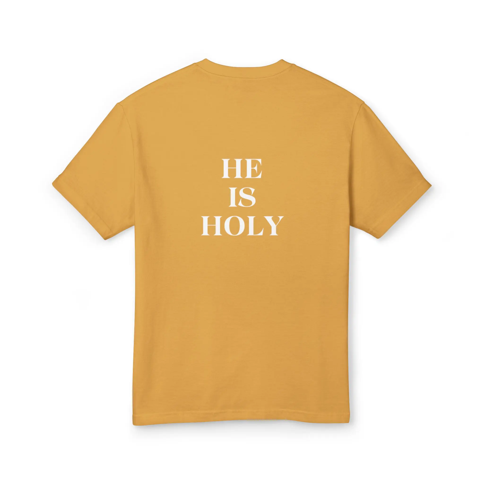 YOU ARE HOLY FADED TEE - Image 12