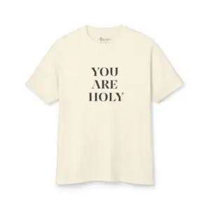 YOU ARE HOLY FADED TEE