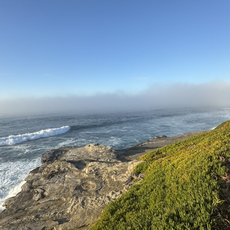 Rocky coastline with waves and green shrubbery under a clear blue sky.