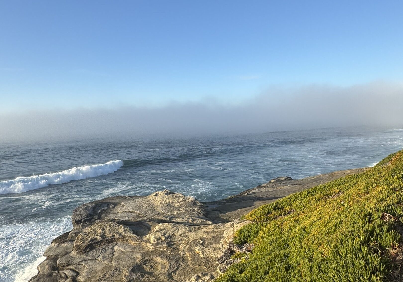 Rocky coastline with waves and green shrubbery under a clear blue sky.