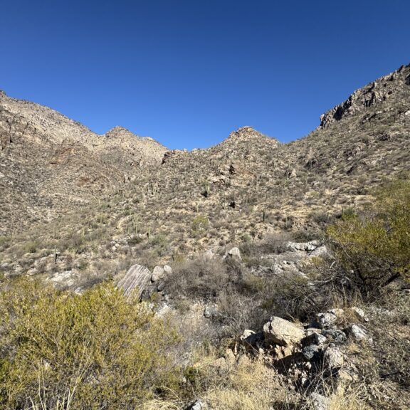 Desert landscape with rocky hills under a clear blue sky.