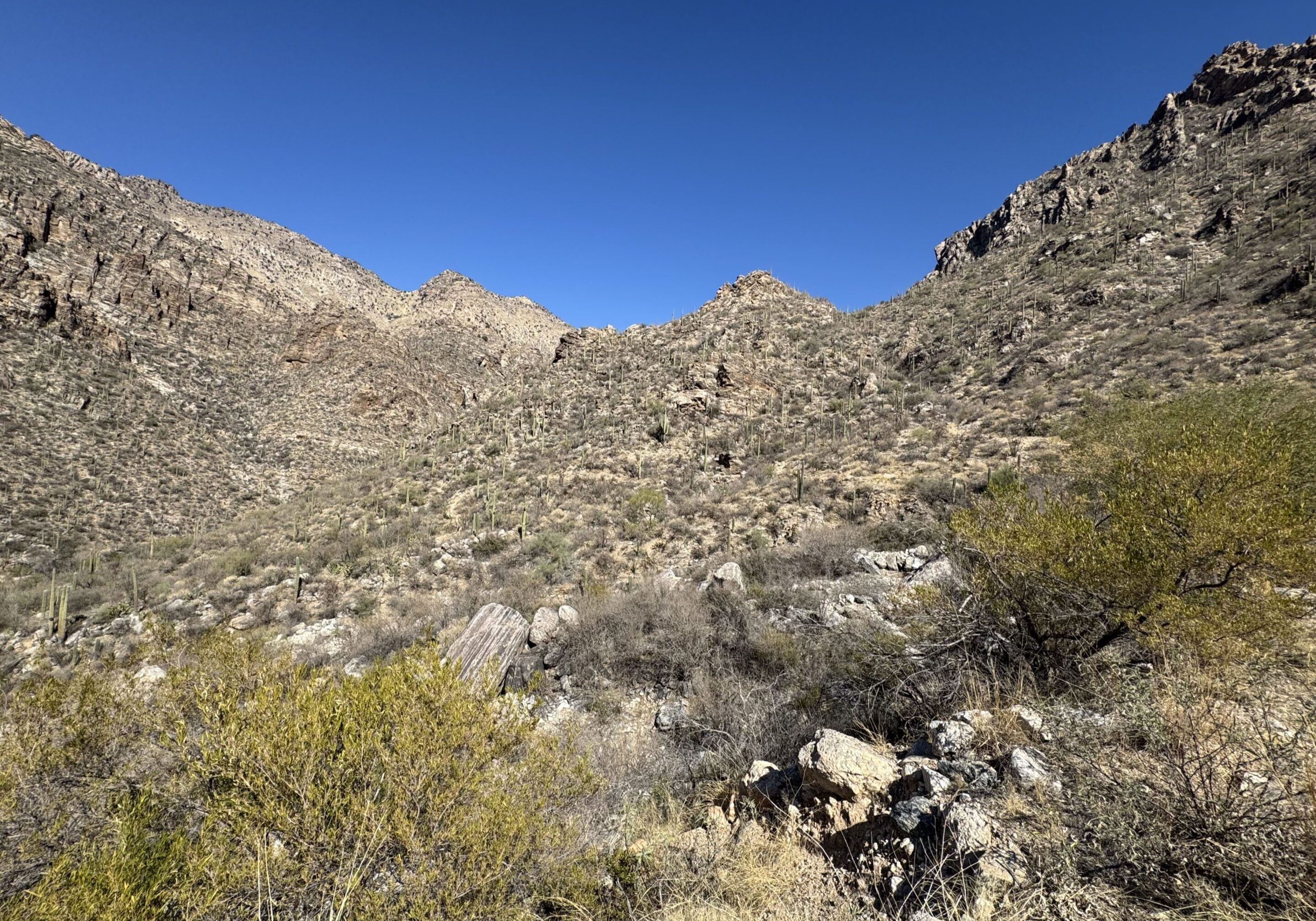 Desert landscape with rocky hills under a clear blue sky.