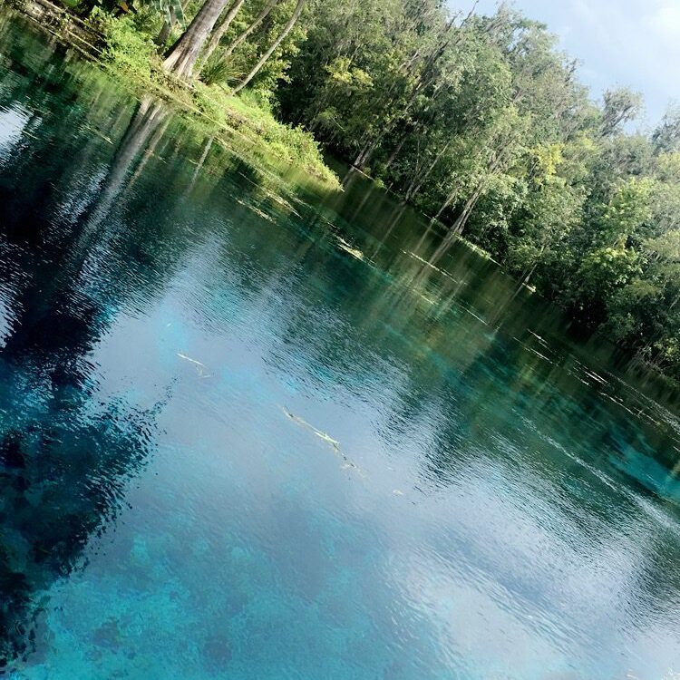 Clear blue water reflecting green trees in a serene natural setting.