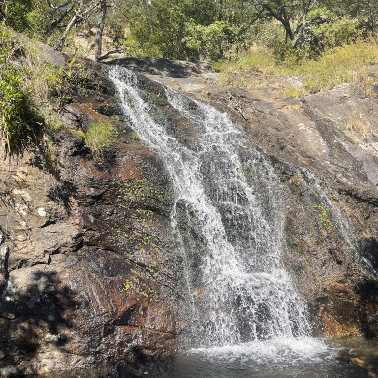Small forest waterfall cascading into rocky pool
