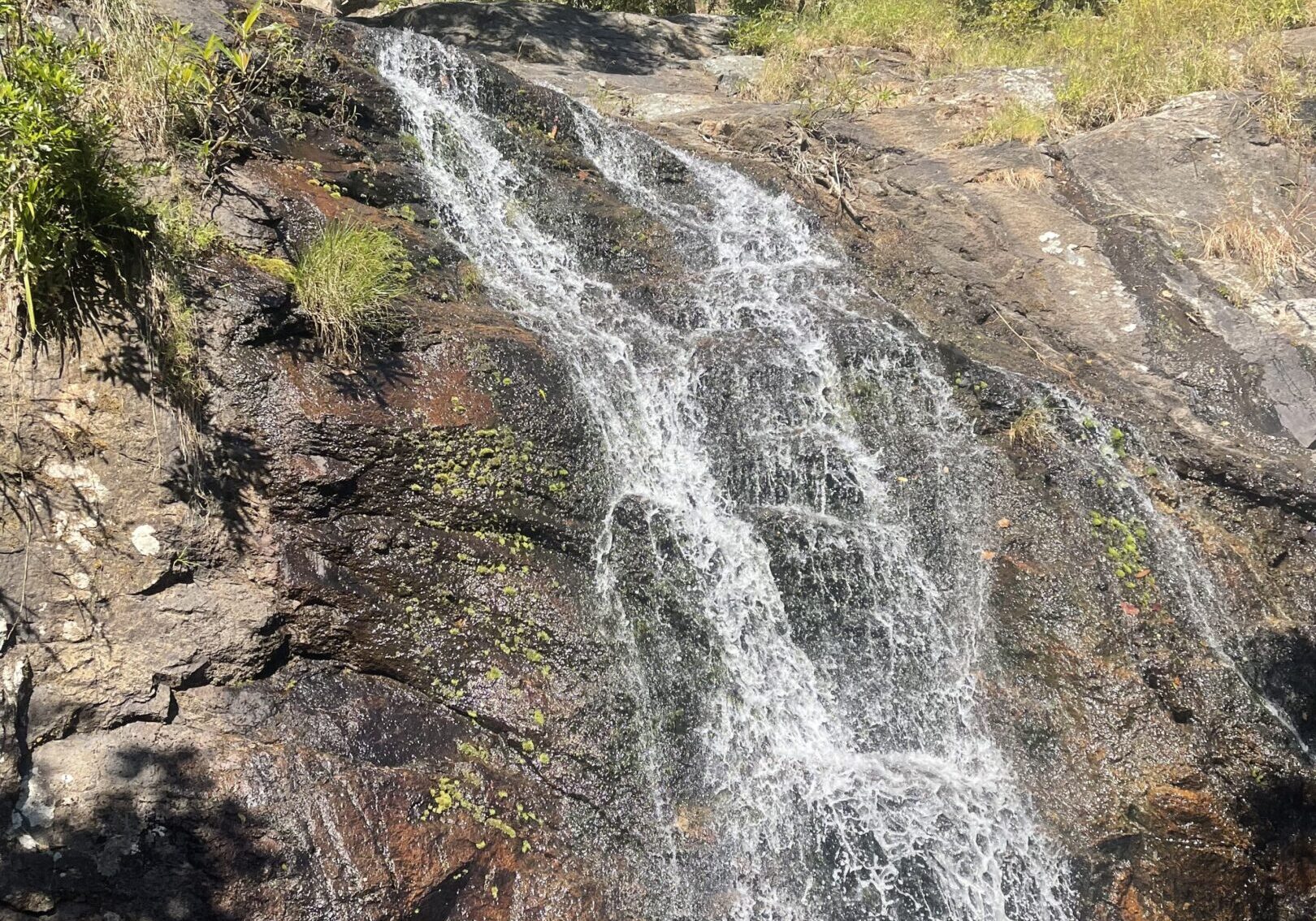 Small forest waterfall cascading into rocky pool