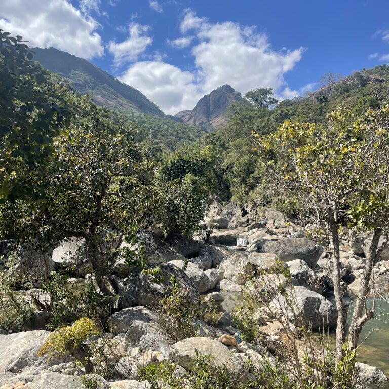 Rocky terrain with trees under a blue sky and mountain peaks.