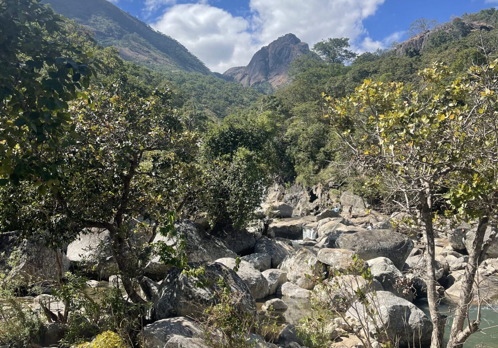 Rocky terrain with trees under a blue sky and mountain peaks.