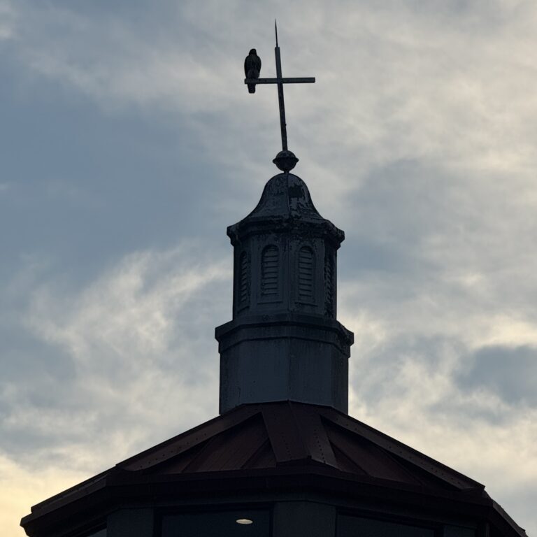 Bird perched on cross atop church steeple